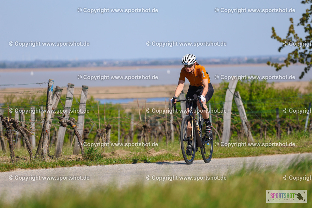 IMG_9566 | @sportshot_your_pictrs #yourpictures#roadtowm2029 #nrm #neusiedlerseeradmarathon #neusiedlersee #neusiedlerseetourismus #burgenland #mörbisch #nrm26 #burgenlandtourismus #voglundco #poweredbyburgenlandtourismus #radsport #rad #marathon #ucigranfondo #visitburgenland #ucigranfondoworldseries