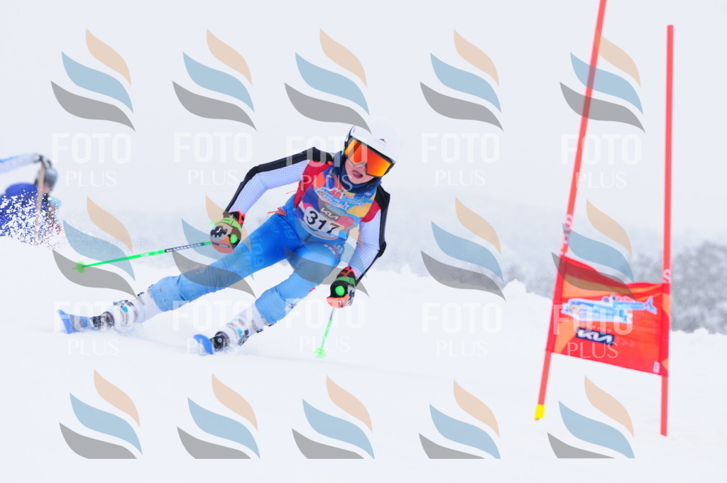 C3359 | holidayphoto