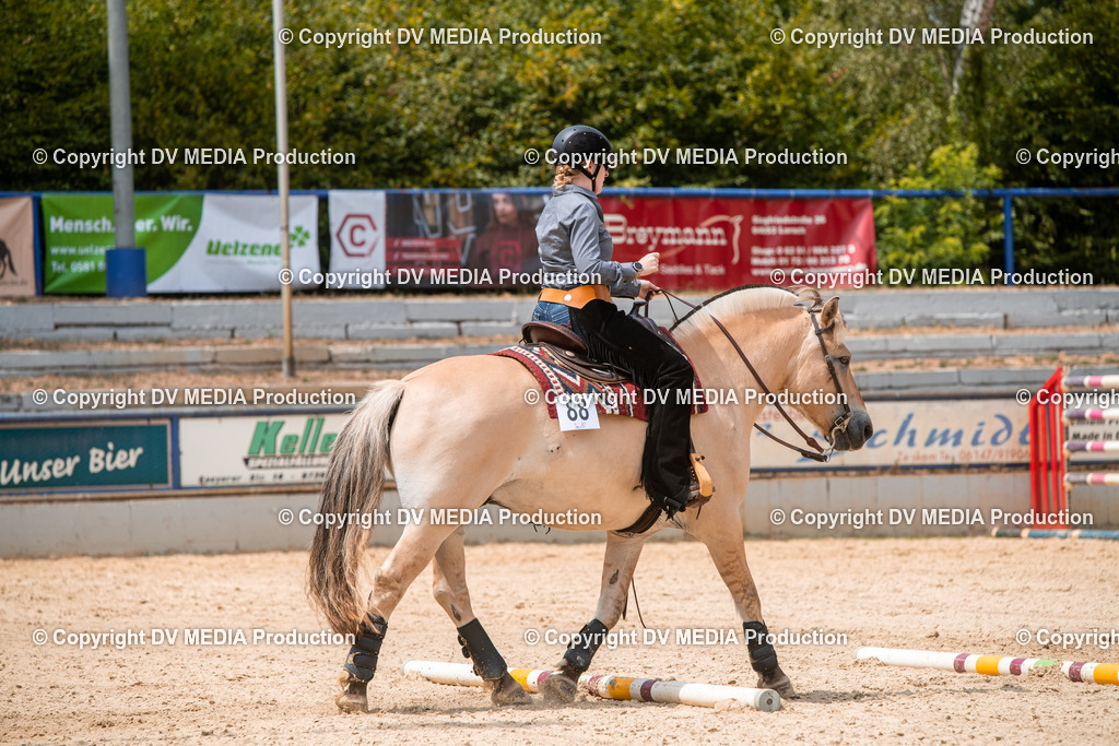 EWP_6308 | dv-media-shop - Realisiert mit Pictrs.com