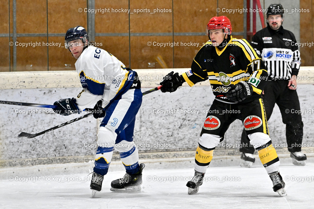 EC Tigers Paternion vs. Carintia Team | #3 Kronawetter Piersilvio EC Tigers Paternion, #77 Hadzic Sebastjan Carinthian Team, EC Tigers Paternion vs. Carintia Team, EC Tigers Paternion vs. Carintia Team am 29.12.2025 in Spittal an der Drau (Eissportzentrum Spittal), Austria, (Photo by Bernd Stefan)