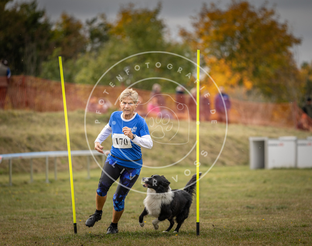 Pfotenfotografie_DV3A5872 | Hundefotografie, Tierfotograf, Pfotenfotografie, Fotoshooting Hund, Hunde Portrait, Hundesport, Hundeportraits, Heideshooting, Hunde, Sportfotograf, Hundefotograf, Turnierhundsport, THS,  - Realisiert mit Pictrs.com
