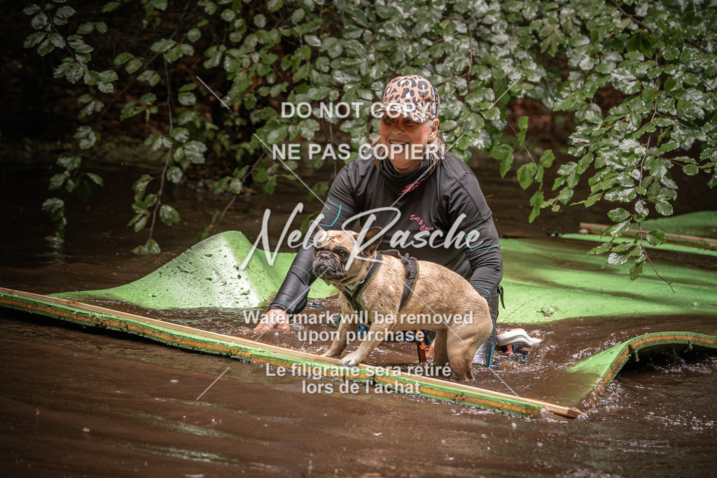nelerasche_Wingst_Sa1330-1400_117 | nelerasche