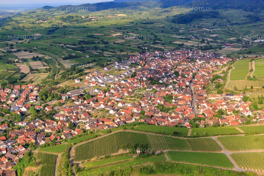 Luftbild: Ortsansicht von Norden in Eichstetten am Kaiserstuhl im Bundesland Baden-Württemberg in Deutschland. Foto: IMG_68181.jpg vom 19.06.2014 durch Werner Riehm/FLY-FOTO.de – Auflösung des Originals: 4752 x 3168 px