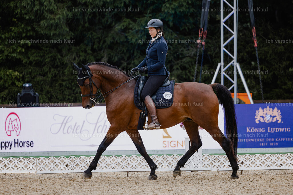 Nadine22_FHC2025-6 | working equitationturnier fotograf videograf stoibphotography marixx film working equitation deutschland reitsport turnierfotografie eventfotografie equestrian events