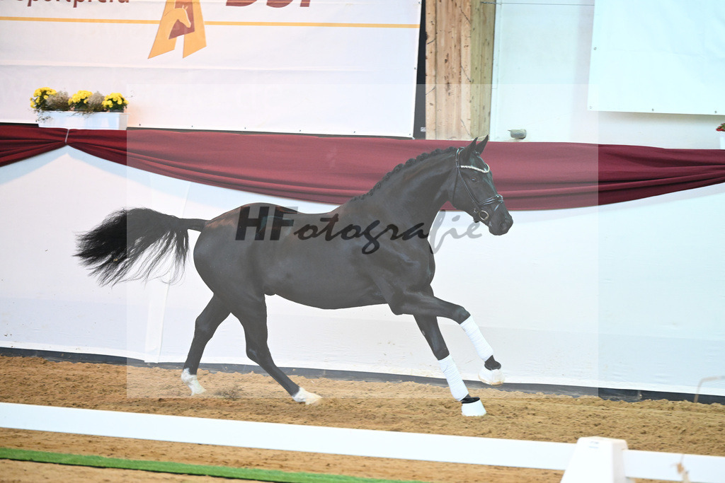 Kat-Nr. 51 v. Toto jr._Winklmaier_66220916 | hf-fotografie - Realisiert mit Pictrs.com