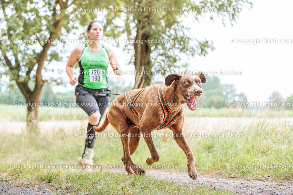 THS-Quakenbrück-2026-Nickbest-Hundefotografie-0956 | Dein Hund! Dein Moment! Deine Erinnerungen! Hundefotografie in Bremen Blumenthal. Ich fange die besonderen Momente deines Vierbeiners ein – ob Indoor mit Blitzanlage oder in der freien Natur. Sicher dir dein Moment und dein Termin für eure Erinnerungen.