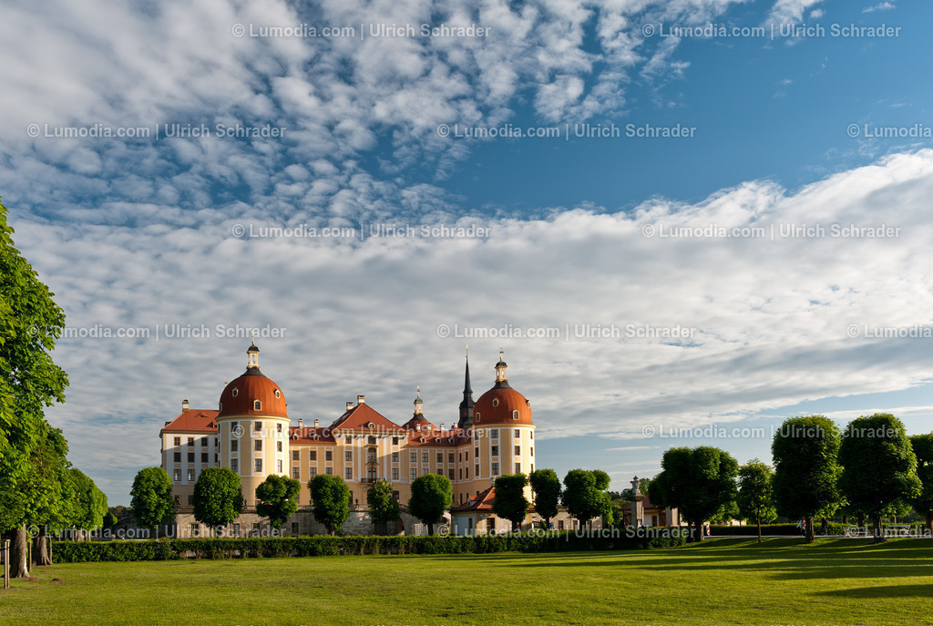 100491-3378 - Moritzburg bei Dresden | Stockfoto und Bilderpool mit Bildmaterial aus Deutschland, dem Harz, Halberstadt, Quedlinburg, Wernigerode und weltweit. Qualitativ hochwertige und professionelle Fotos anschauen und kaufen. - Realisiert mit Pictrs.com