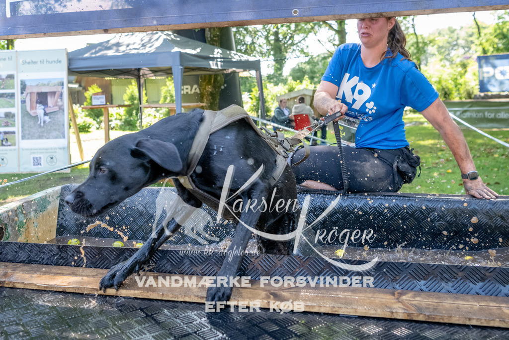 1507_ZZ90339 | kk-dogfotos