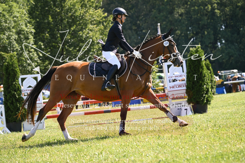 DSC_8725 | Pferde- und Turnierfotografie in Westsachsen. Pferdeportraits, Auftragszeichnungen und intuitive Kunst.