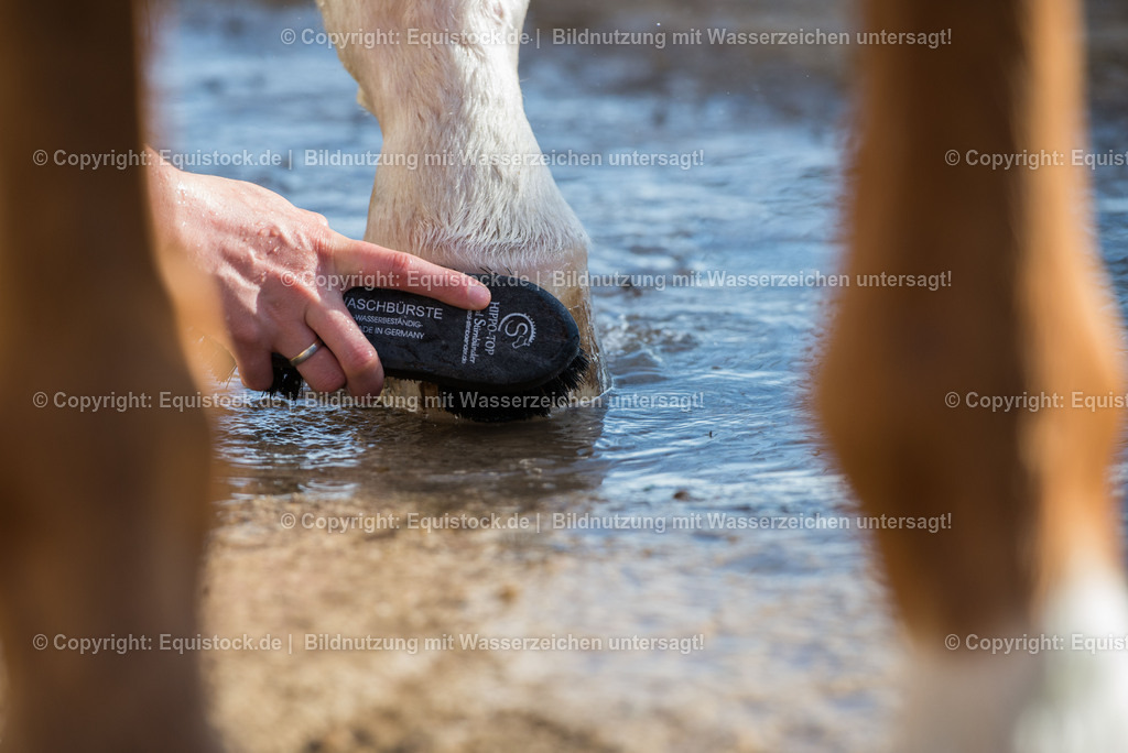 20150414_B__rsten_0008 | equistock
