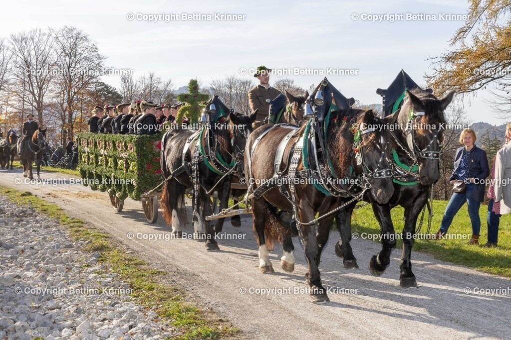 LBT24-1559 | foto-bettina-krinner - Realisiert mit Pictrs.com