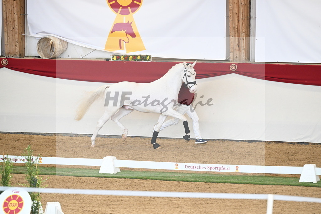 Kat.-Nr. 80 v. Topas_Sahlmann-Schmitz_2250700 | hf-fotografie - Realisiert mit Pictrs.com