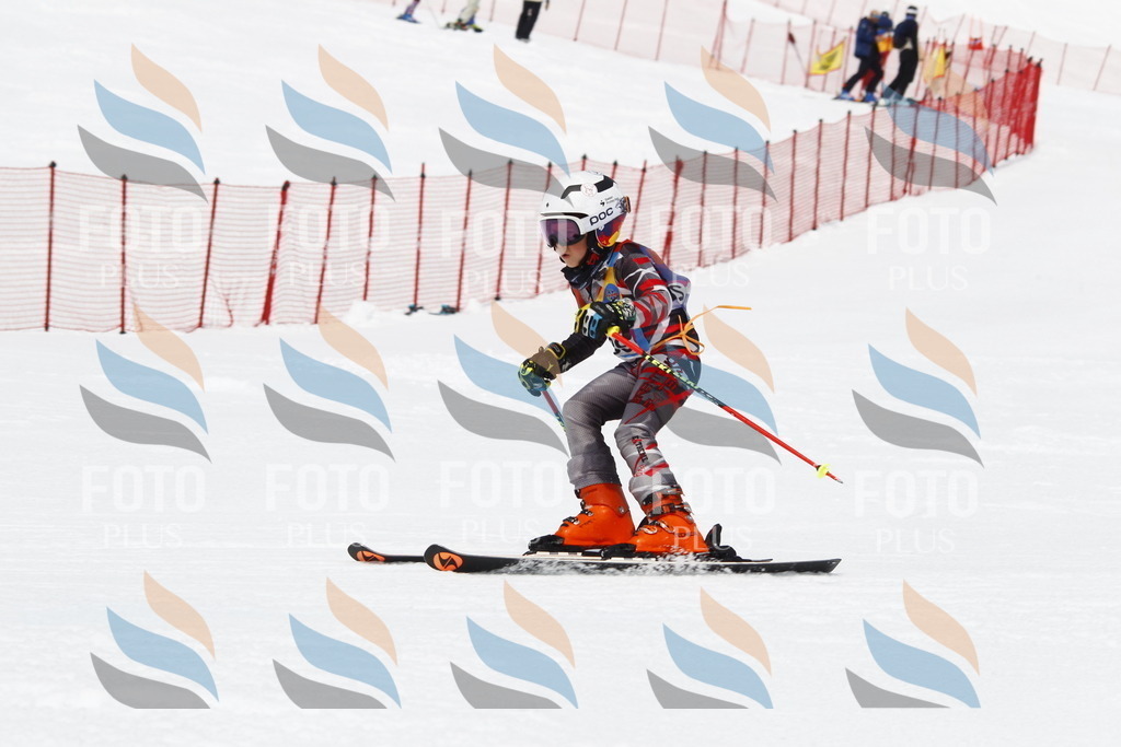 _U3G7253 | holidayphoto