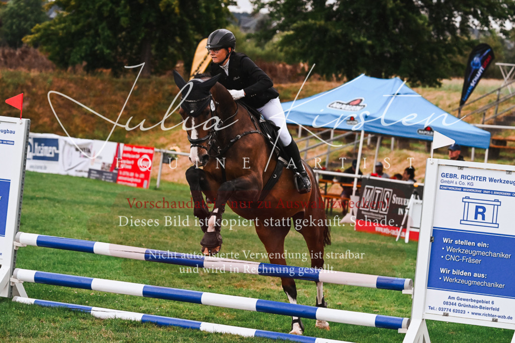 DSC_6150 | Pferde- und Turnierfotografie in Westsachsen. Pferdeportraits, Auftragszeichnungen und intuitive Kunst.