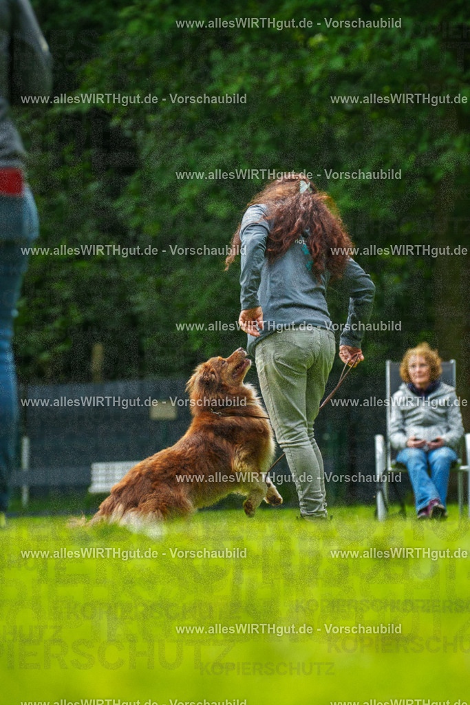 @allesWIRTHgut_Tierfotografie - www.allesWIRTHgut.de - 7R505156 | Professionelle Tierfotografie in Mönchengladbach von Daniel Wirth (allesWIRTHgut). Liebevolle & natürliche Bilder von Hunden & Katzen für unvergessliche Erinnerungen.