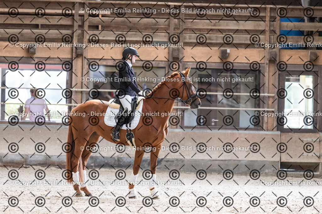 CL5A0543 | Emilia Reinking Fotografie - Realisiert mit Pictrs.com