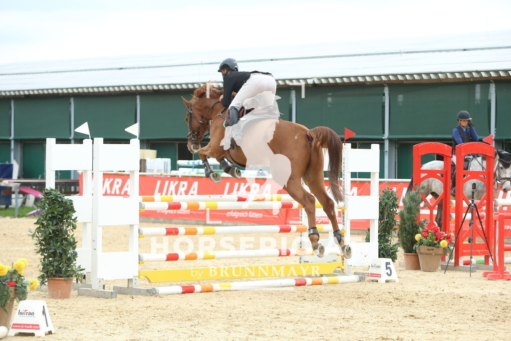 DL2Q6796 | Willkommen bei Brunnmayr - Design & Fotografie – Ihrem Spezialisten für Reitturniere und Pferdeveranstaltungen in Oberösterreich, Salzburg und Bayern! Seit über 17 Jahren sind wir leidenschaftlich dabei.