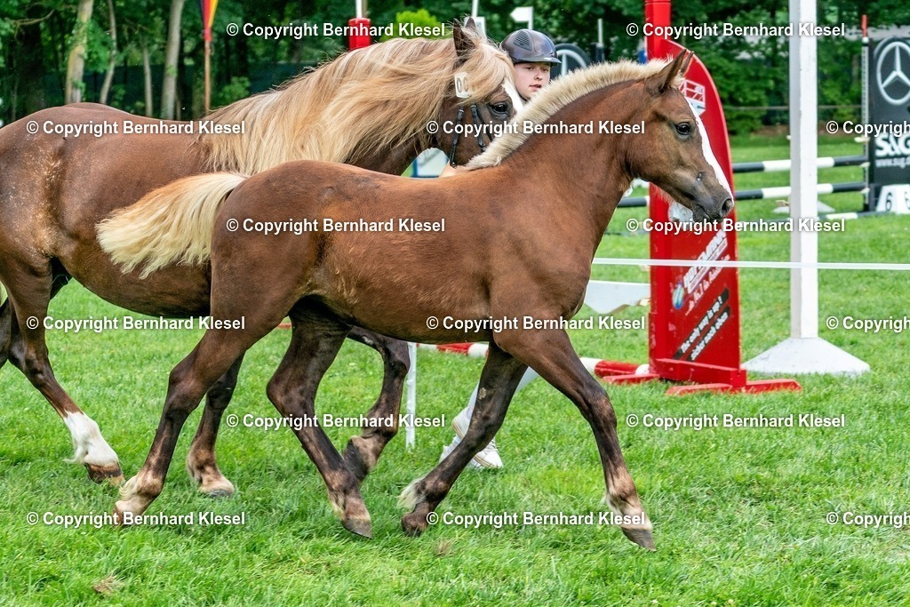 A9S03265 | foto-team-bernhard - Realisiert mit Pictrs.com