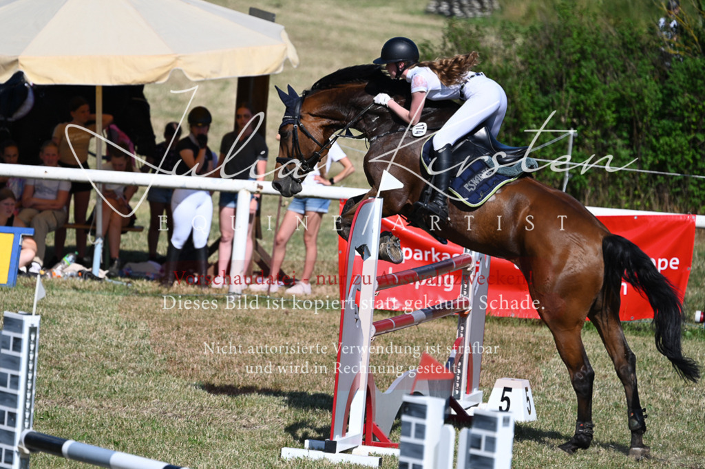 DSC_1894 | Pferde- und Turnierfotografie in Westsachsen. Pferdeportraits, Auftragszeichnungen und intuitive Kunst.
