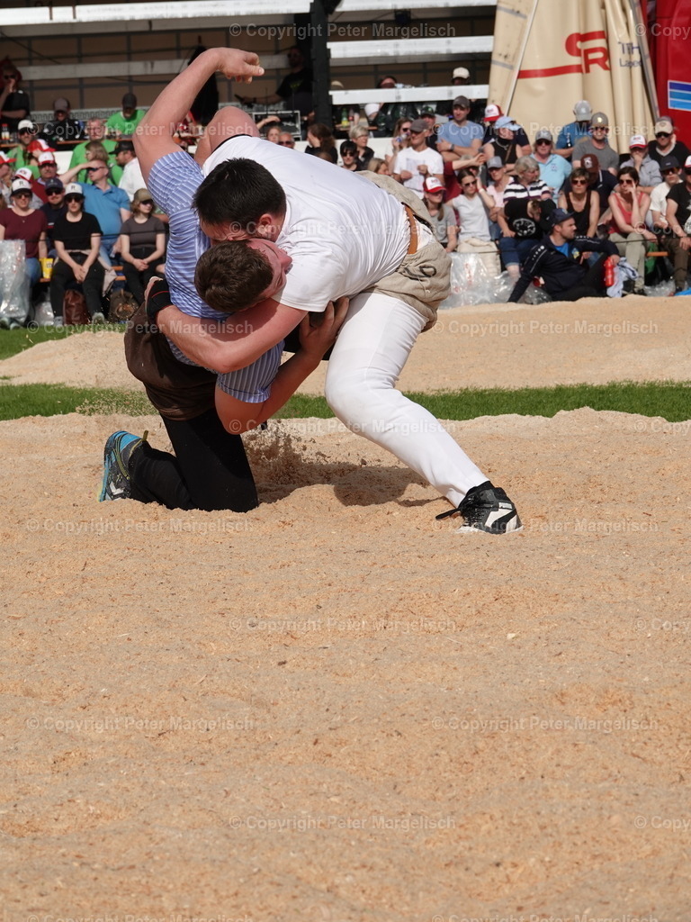 DSC06440 | Schwingen - Realisiert mit Pictrs.com