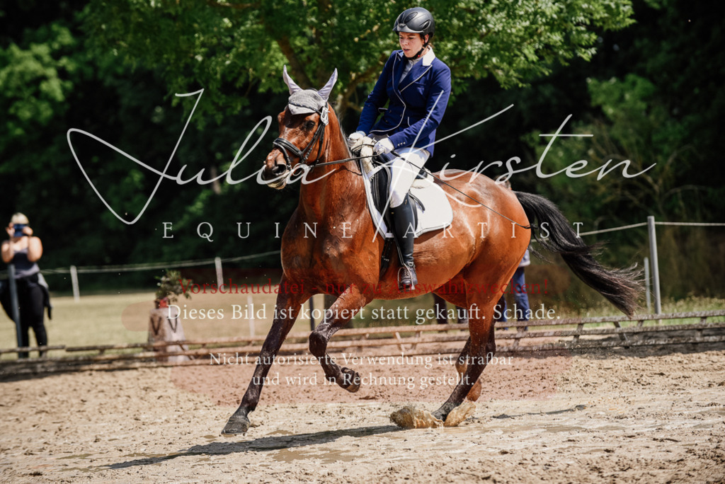 DSC_1229 | Pferde- und Turnierfotografie in Westsachsen. Pferdeportraits, Auftragszeichnungen und intuitive Kunst.