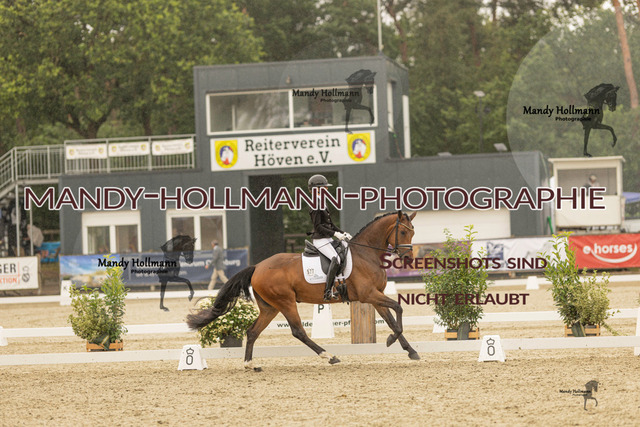 SW 4-787 | mandyhollmannphotographie