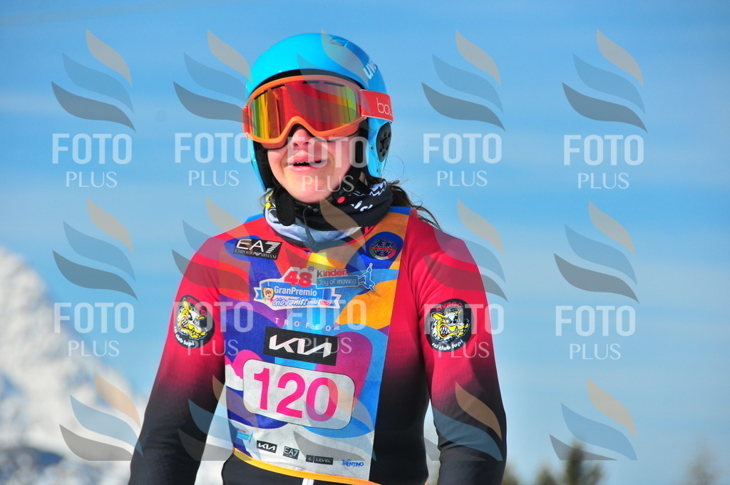 DSC_4774 | holidayphoto