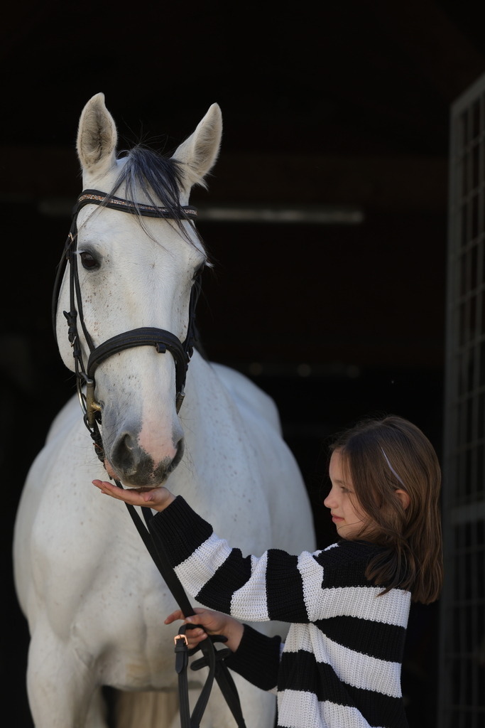 0P6A9009 | Willkommen bei Brunnmayr - Design & Fotografie – Ihrem Spezialisten für Reitturniere und Pferdeveranstaltungen in Oberösterreich, Salzburg und Bayern! Seit über 17 Jahren sind wir leidenschaftlich dabei.