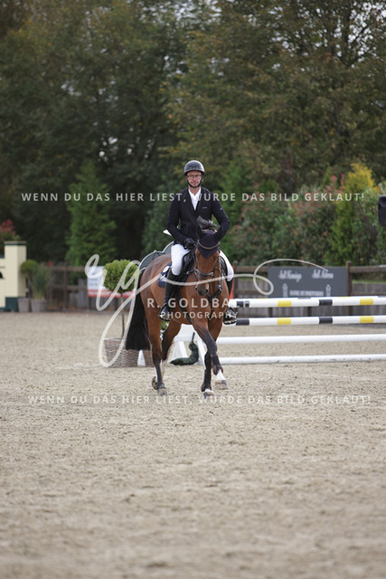 1J2A9171Clemens Drabsch_ Queens First_ Kn863_ Havekost | Foto- und Videografie für alles rund ums Pferd. Hochwertige Bilder und Videos vom Spring- und Dressurreiten, Voltigieren & mehr. Jetzt aktuelle Veranstaltungen und Preise im Shop ansehen. - Realisiert mit Pictrs.com