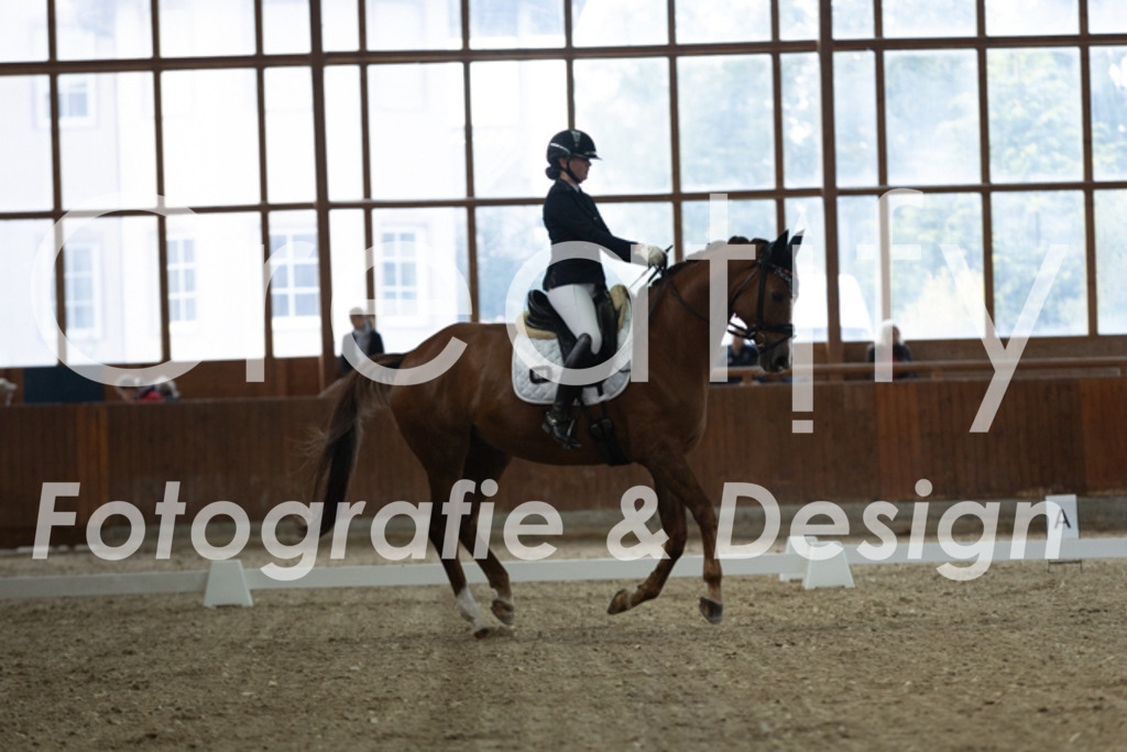 IMG_1150 | Creatify Fotografie