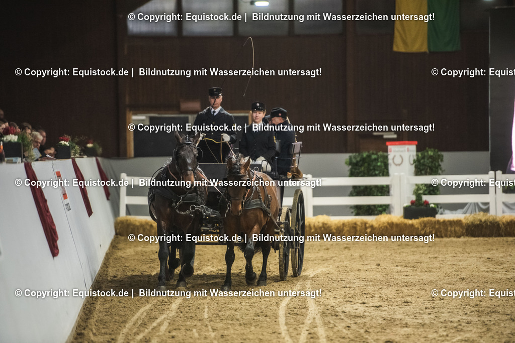 20240302_Hengstvorstellung_Marbach_TOMsPiC_0774 | equistock