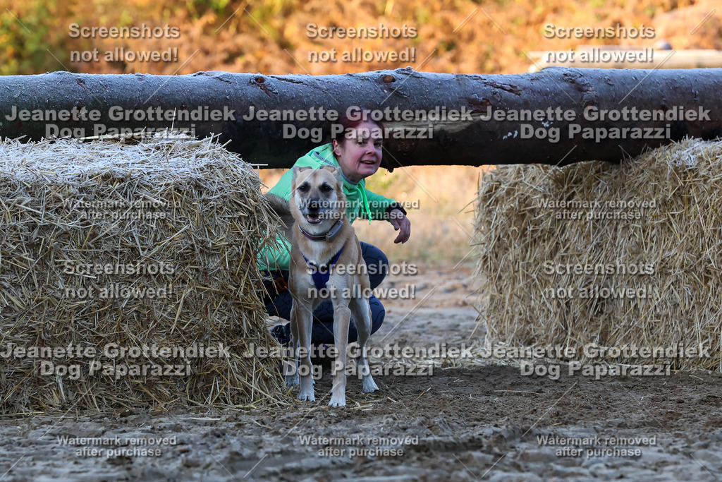 Dog Paparazzi - Strongdog 10-25-424 | Dog Paparazzi Jeanette Grottendiek Fotografie & Videografie - Realisiert mit Pictrs.com