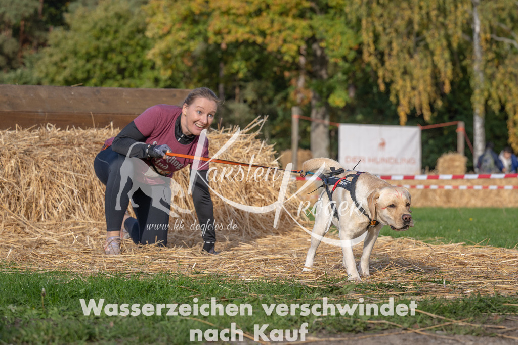 1019_ZZ93135 | kk-dogfotos