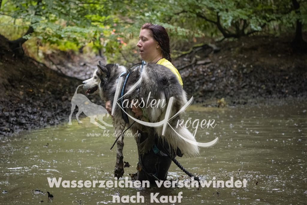 0956_ZZ91564-Bearbeitet | kk-dogfotos