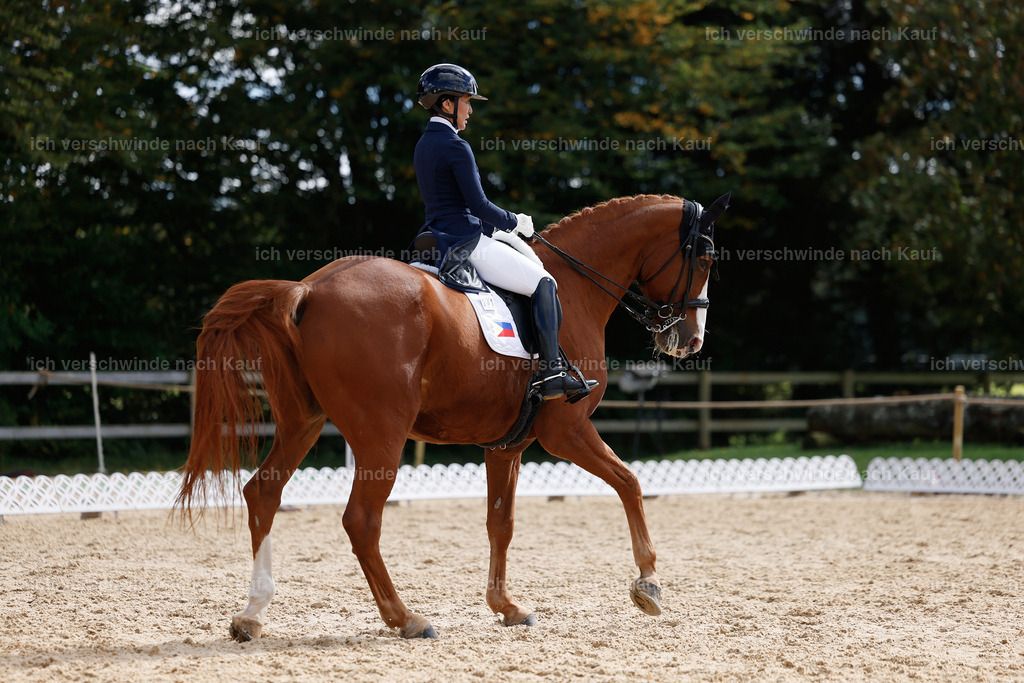 09_2-231-DRESSUR  S_  -StoibPH-5922 | working equitationturnier fotograf videograf stoibphotography marixx film working equitation deutschland reitsport turnierfotografie eventfotografie equestrian events