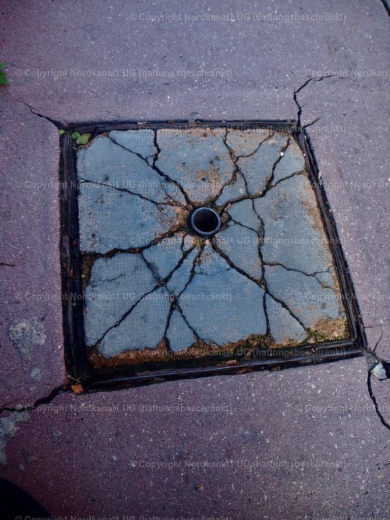 PA272063-1 | OLYMPUS DIGITAL CAMERA          - Realisiert mit Pictrs.com