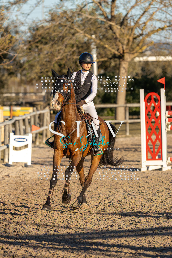 IMG_2839 | s-jay-photography - Realisiert mit Pictrs.com