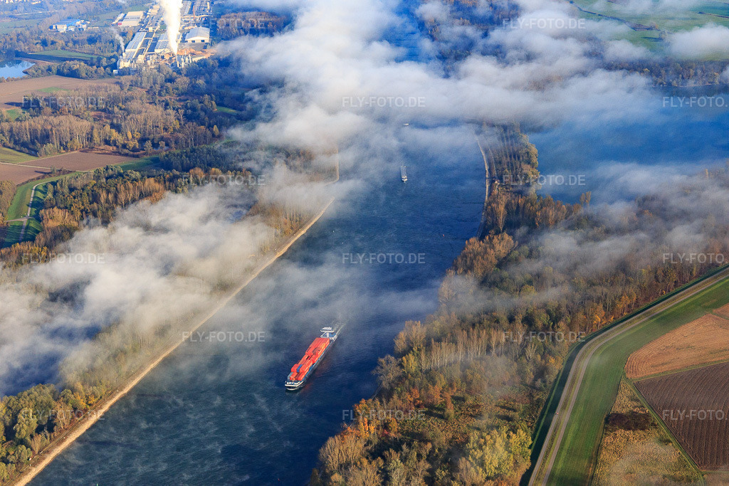 Luftbild: Verlauf des Rheins mit Containerschiff unter Wolken aus Süden in Germersheim im Bundesland Rheinland-Pfalz in Deutschland. Foto: IMG_104109.jpg vom 31.10.2017 durch Werner Riehm/FLY-FOTO.de