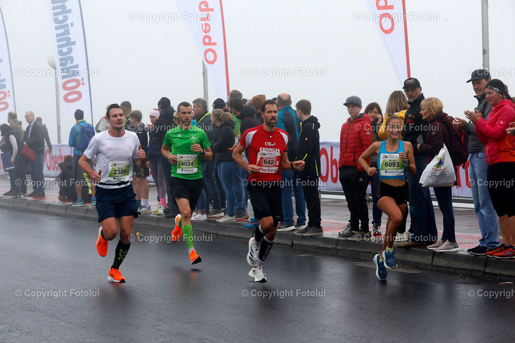 A_LUI_231022_128 | bilder, linz, photo, foto, fussball, sport, fotolui, bundesliga