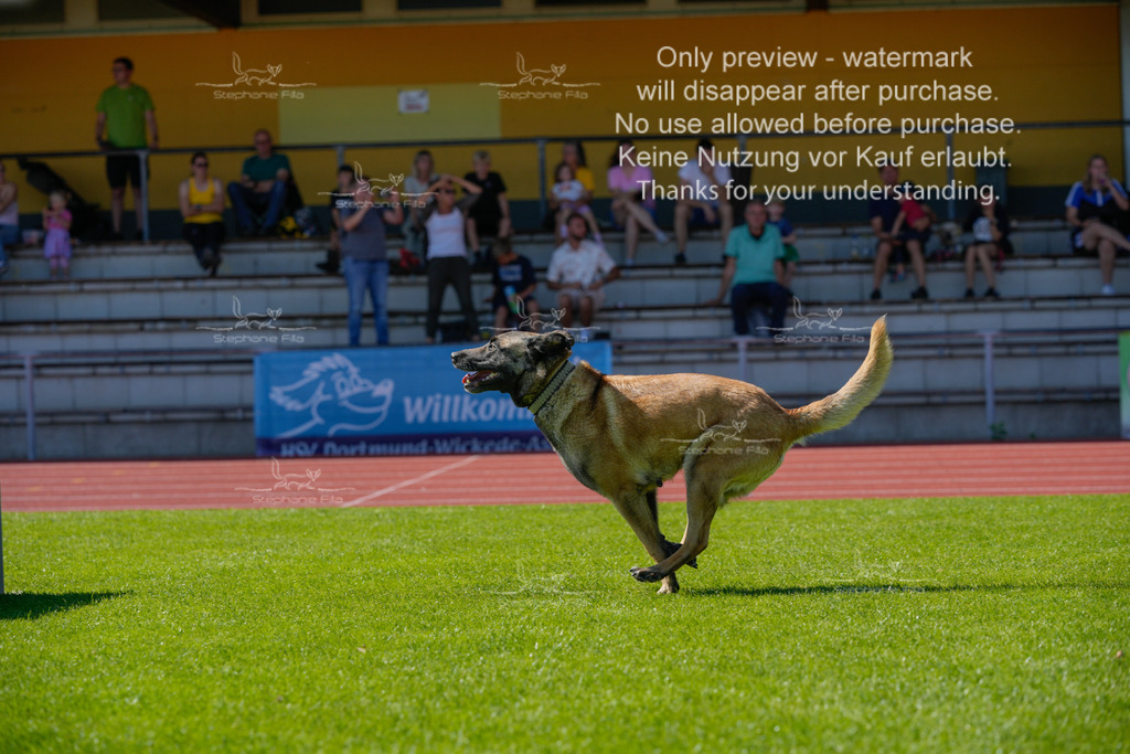 Sonntag_VK Hindernis (434 von 671) | stephaniefillaphotographie - Realisiert mit Pictrs.com