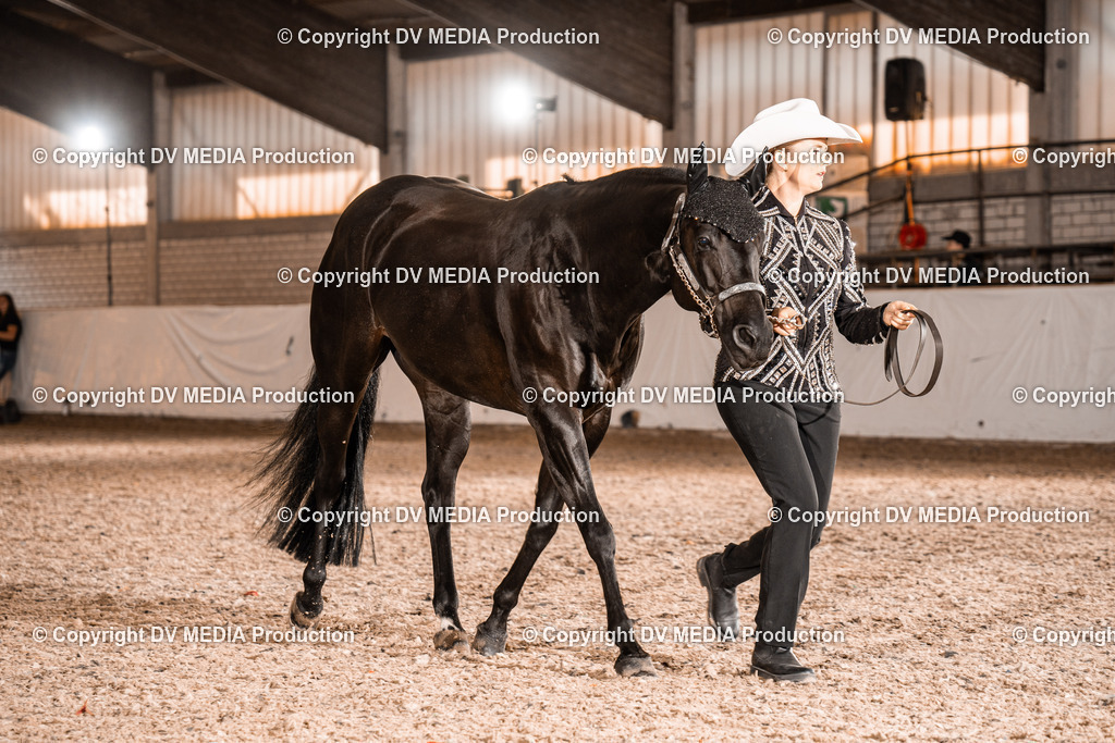 ZH100117 | dv-media-shop - Realisiert mit Pictrs.com