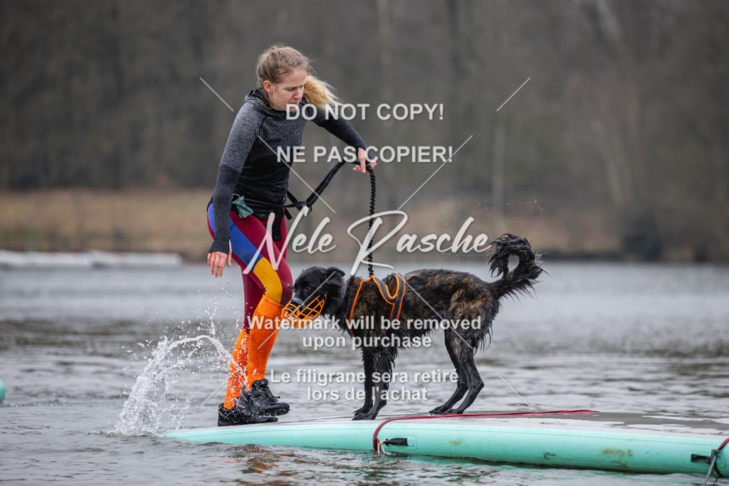 nelerasche_Hulsbeek_Sa1515-1600_563 | nelerasche