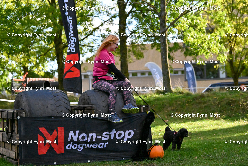 DSC_7150 | Hallo und herzlich Willkommen auf meiner Shop-Seite Fynn Most.

Ich wünsche Dir viel Spaß beim stöbern durch die Bilder, wenn Du Fragen hast oder Bilder vermisst, kannst du mir gerne eine Nachricht schreiben. - Realisiert mit Pictrs.com