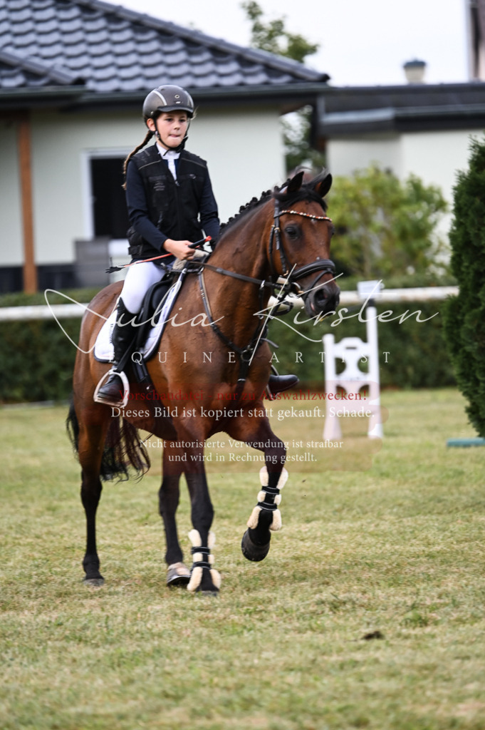 DSC_5436 | Pferde- und Turnierfotografie in Westsachsen. Pferdeportraits, Auftragszeichnungen und intuitive Kunst.