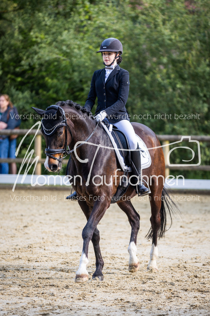 Donop24-A-Dre-102 | MomenTaufnahmen Pferdesportfotos