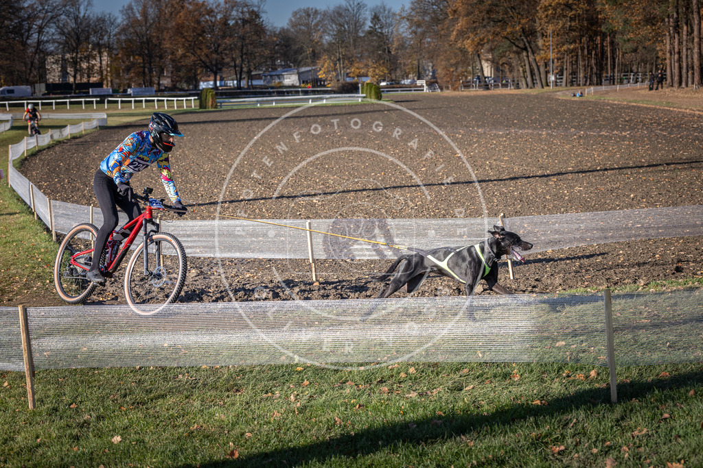 CaniXpix_DV3A3593 | Hundefotografie, Tierfotograf, Pfotenfotografie, Fotoshooting Hund, Hunde Portrait, Hundesport, Hundeportraits, Heideshooting, Hunde, Sportfotograf, Hundefotograf, Turnierhundsport, THS,  - Realisiert mit Pictrs.com