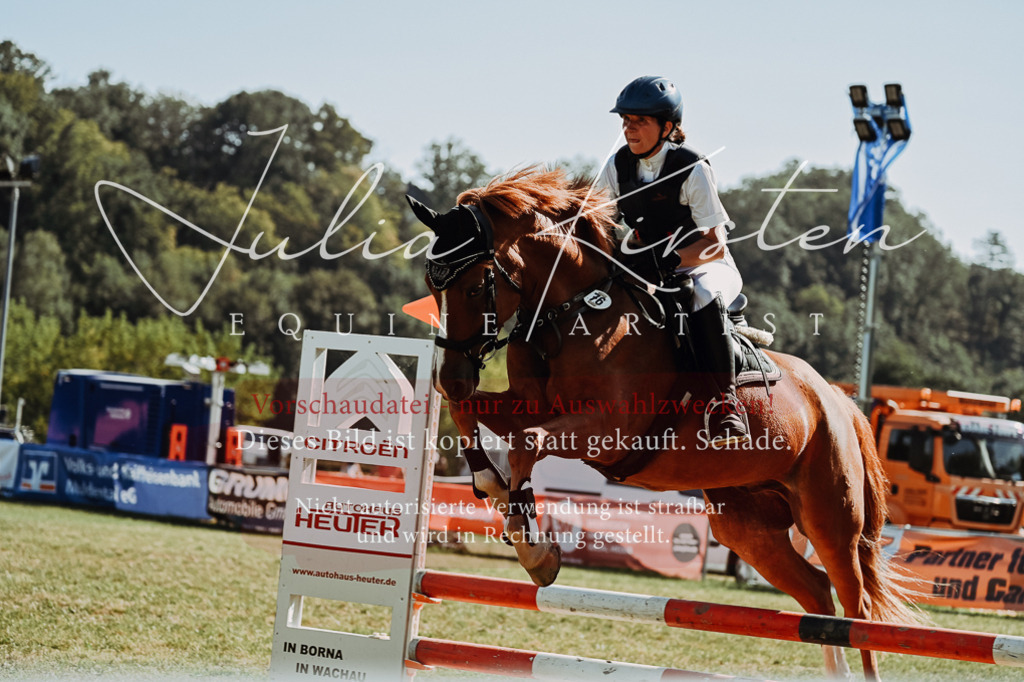 DSC_6944 | Pferde- und Turnierfotografie in Westsachsen. Pferdeportraits, Auftragszeichnungen und intuitive Kunst.