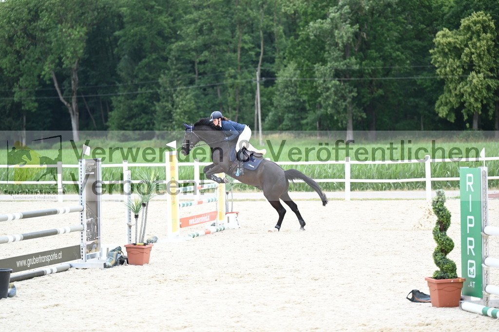 DSC_4338 | equestrian-live-com