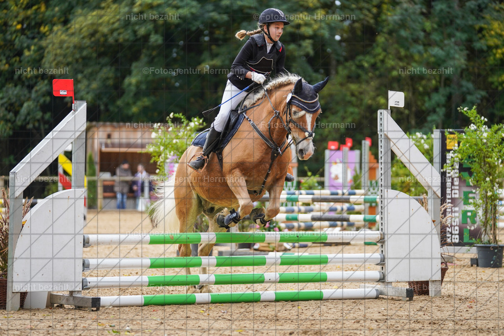 20221009-FAH08374 | Diessen am Ammersee, 2022, Dressur- und Springturnier, Reitsportbilder, Turnierfotografen Bayern, Pferdefotografen, Fotoagentur Herrmann, Turnierbilder