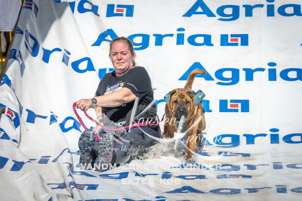 1457_ZZ96608 | kk-dogfotos